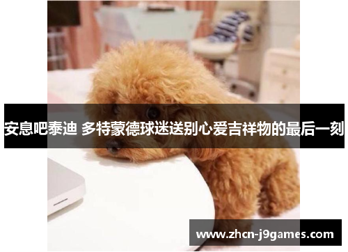 安息吧泰迪 多特蒙德球迷送别心爱吉祥物的最后一刻
