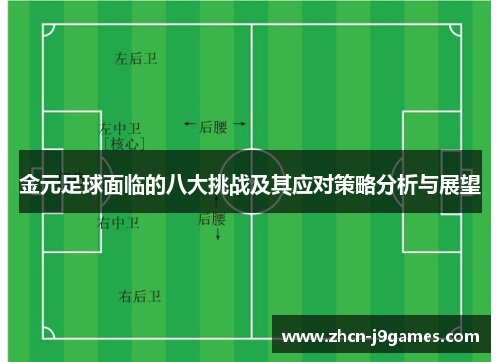 金元足球面临的八大挑战及其应对策略分析与展望